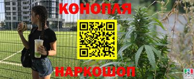 прущий лед Новозыбков